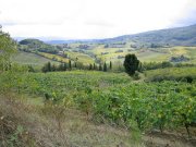 colline e vigneti
verso S.Gimignano
(7745 bytes)